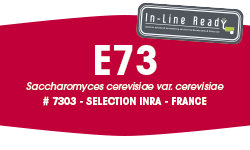 Kvasovke FERMIROUGE-FERMIVIN E73 500 g - selekcionirane kvasovke za poudarjanje arome rdečih vin